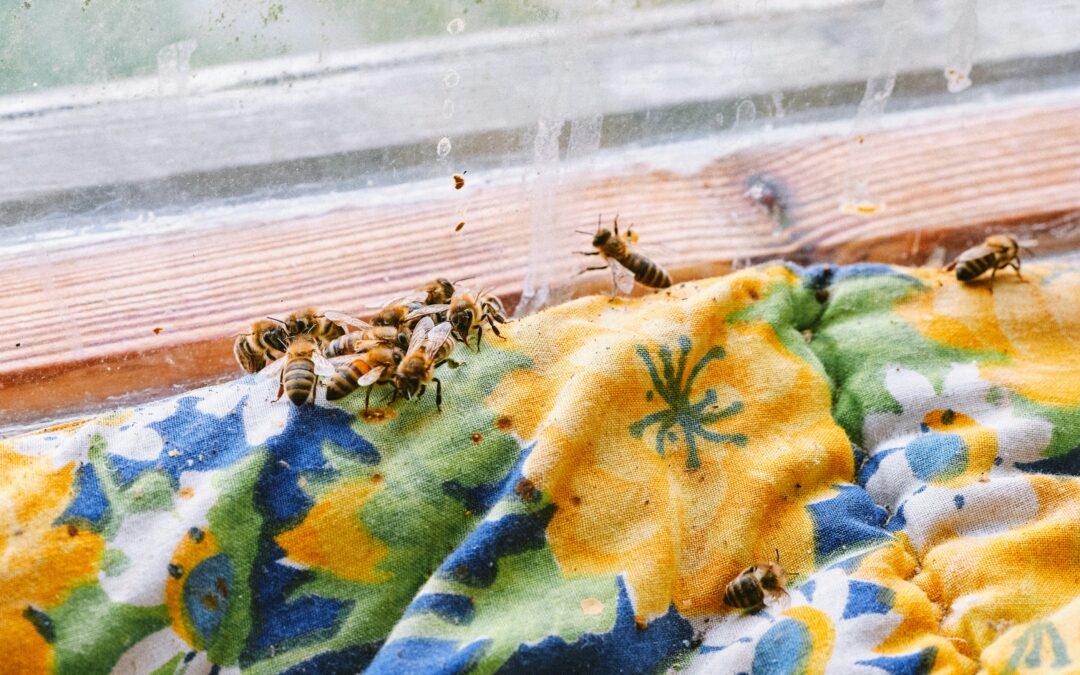 Year-Round Pest Control: What Each Season Brings in Arkansas