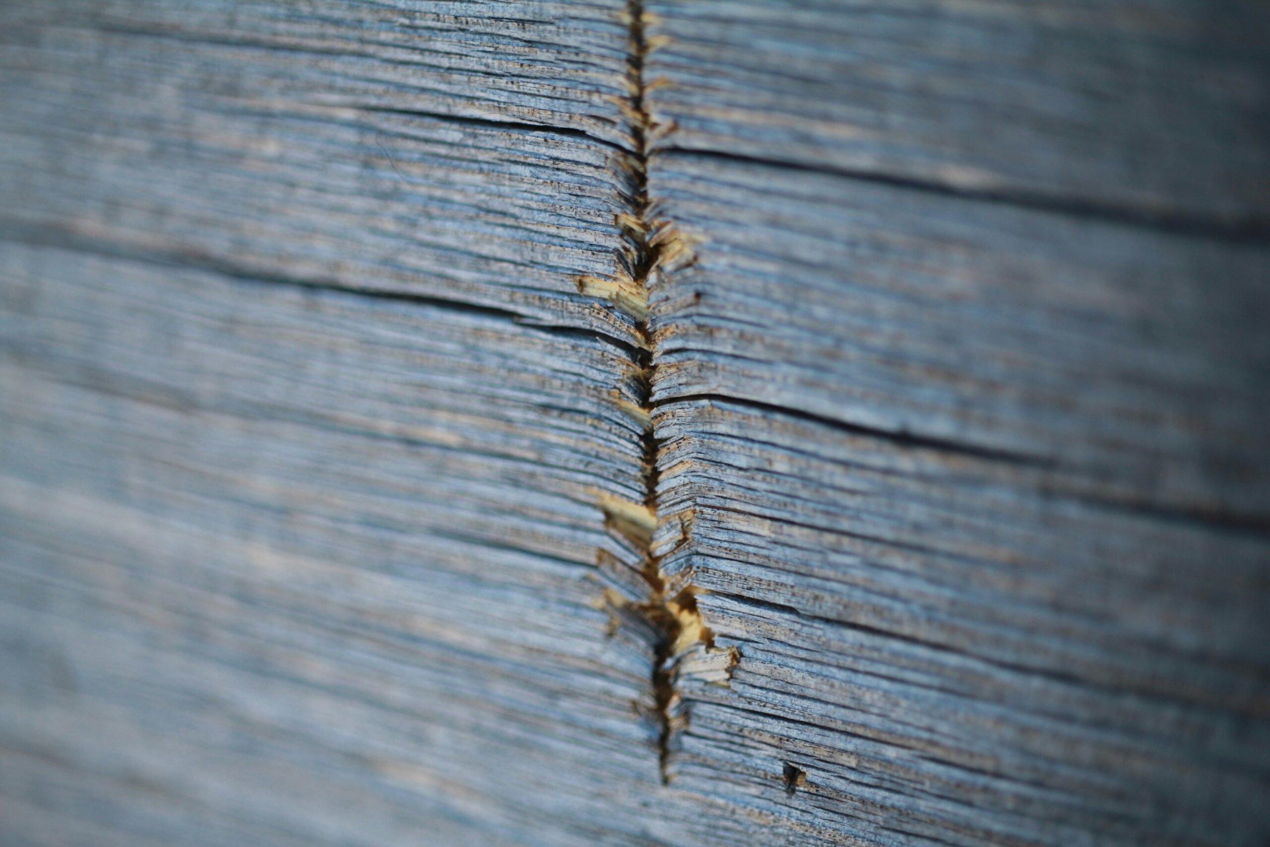 Close-up of a rough, horizontal crack in weathered, blue-painted wood—splinters and uneven texture along the split hint at damage that can occur during termite season.